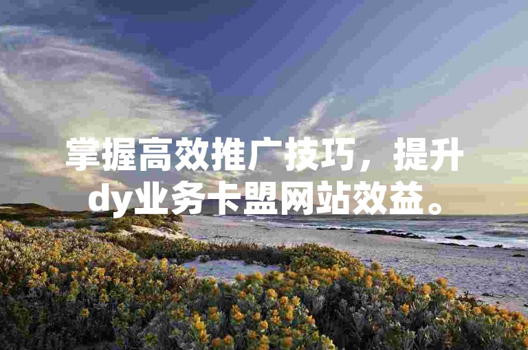 掌握高效推广技巧，提升dy业务卡盟网站效益。