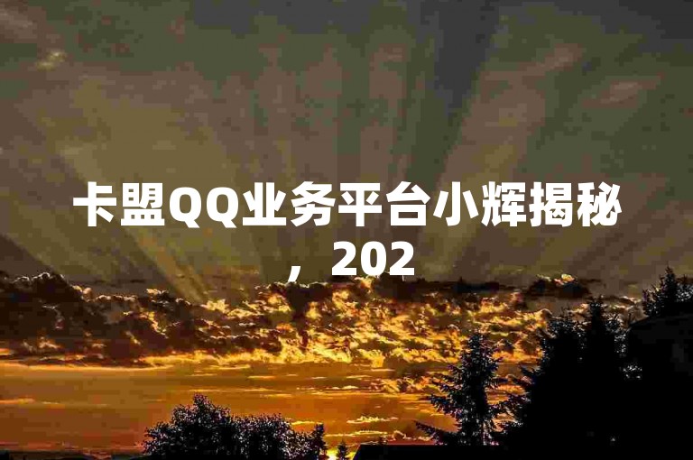 卡盟QQ业务平台小辉揭秘，2025必学的优势！