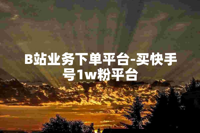 B站业务下单平台-买快手号1w粉平台