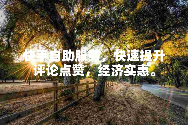 快手自助服务，快速提升评论点赞，经济实惠。