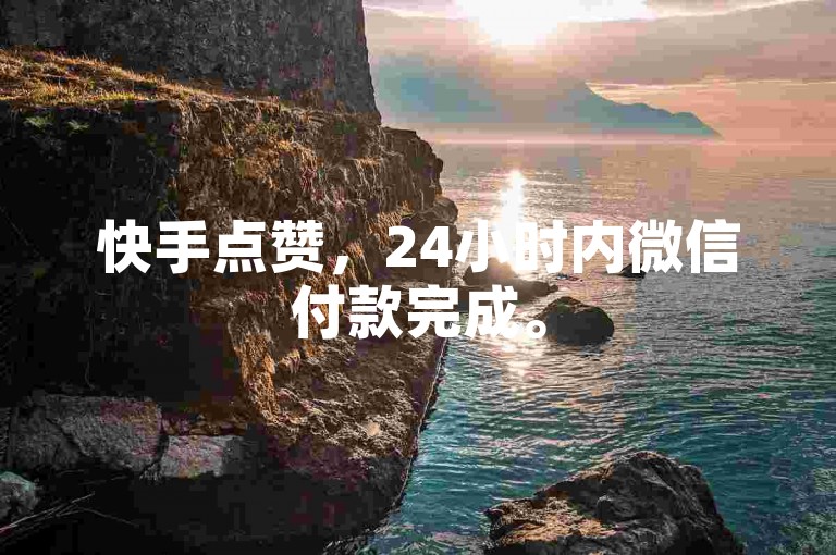 快手点赞，24小时内微信付款完成。