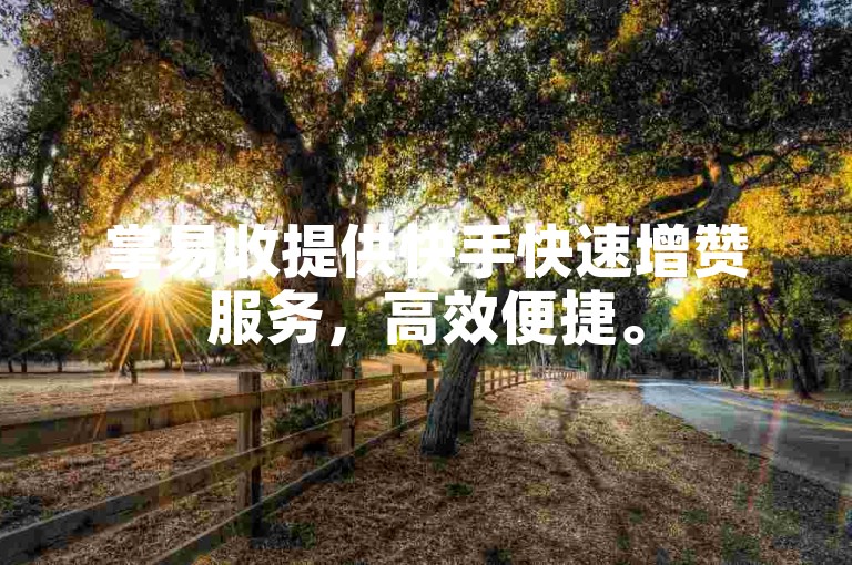 掌易收提供快手快速增赞服务，高效便捷。