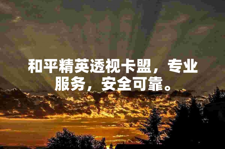 和平精英透视卡盟，专业服务，安全可靠。