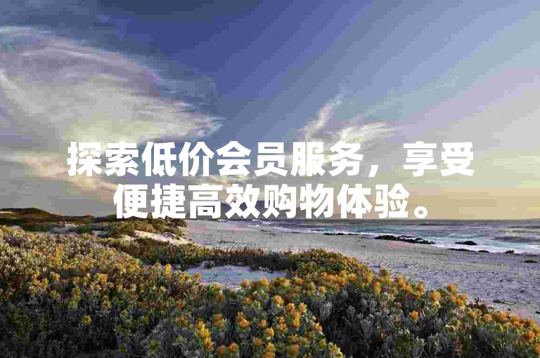 探索低价会员服务，享受便捷高效购物体验。