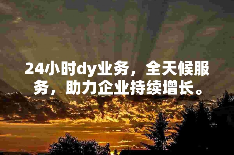 24小时dy业务，全天候服务，助力企业持续增长。
