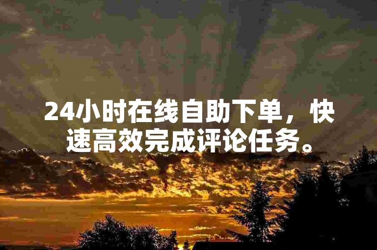 24小时在线自助下单，快速高效完成评论任务。