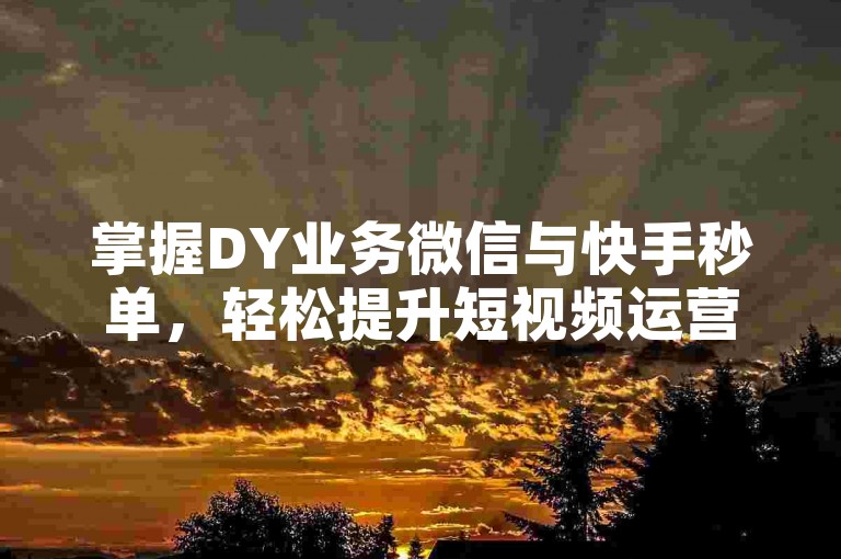 掌握DY业务微信与快手秒单，轻松提升短视频运营效率。