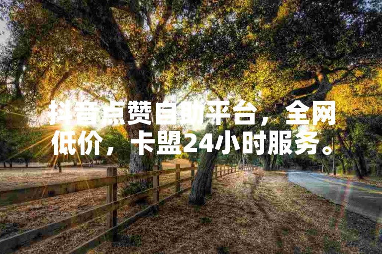 抖音点赞自助平台，全网低价，卡盟24小时服务。