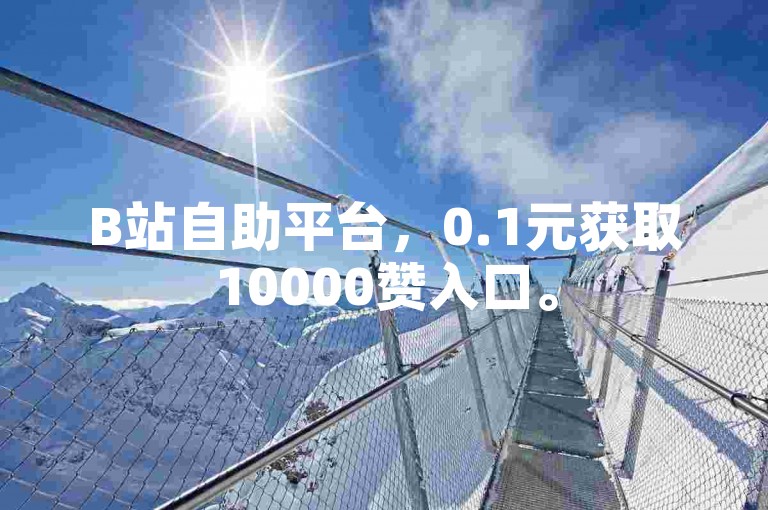 B站自助平台，0.1元获取10000赞入口。