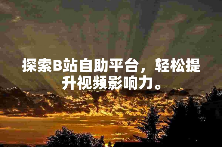 探索B站自助平台，轻松提升视频影响力。