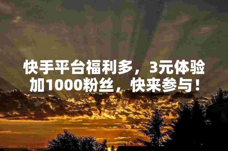 快手平台福利多，3元体验加1000粉丝，快来参与！