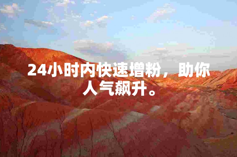 24小时内快速增粉，助你人气飙升。