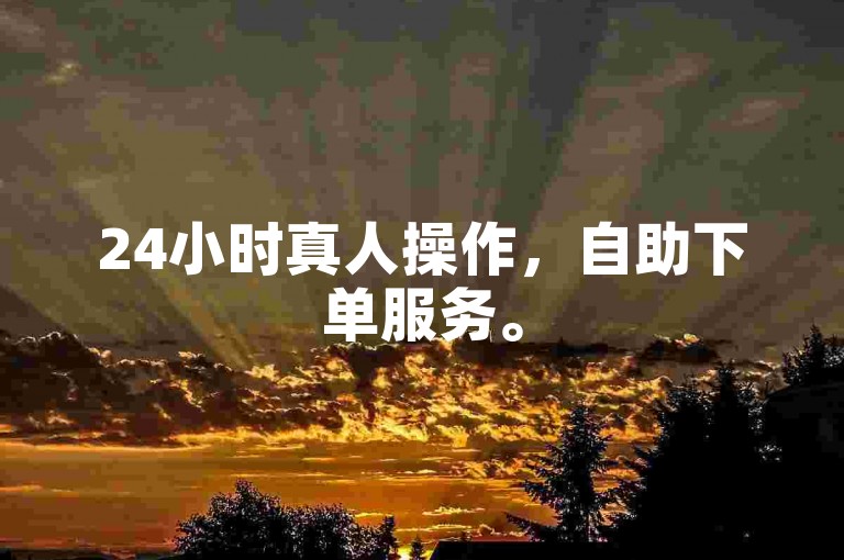 24小时真人操作，自助下单服务。