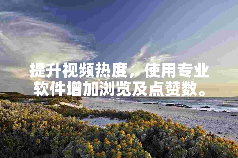 提升视频热度，使用专业软件增加浏览及点赞数。