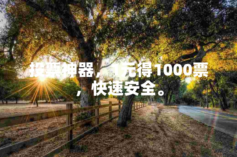 投票神器，1元得1000票，快速安全。