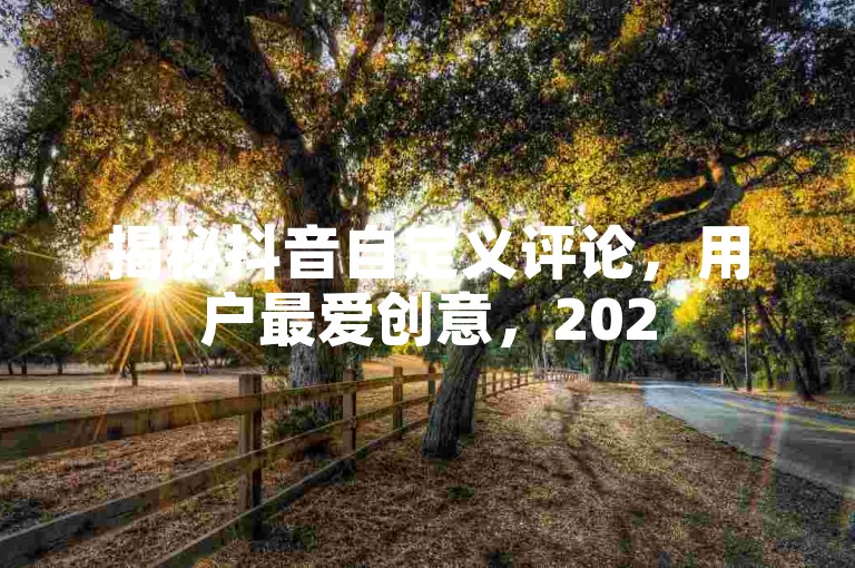 揭秘抖音自定义评论，用户最爱创意，2025必备技巧！