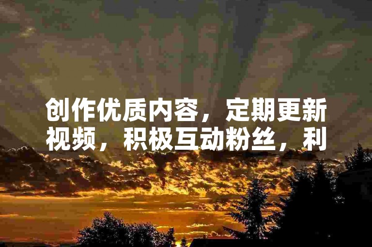 创作优质内容，定期更新视频，积极互动粉丝，利用平台推广。