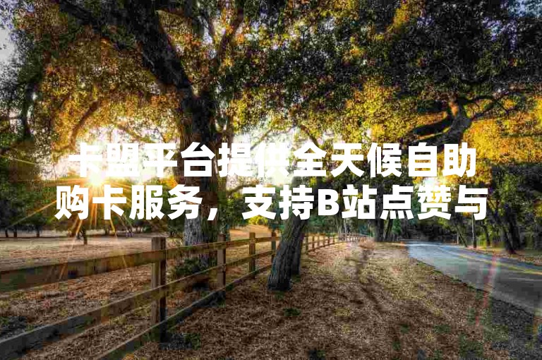 卡盟平台提供全天候自助购卡服务，支持B站点赞与粉丝增长。