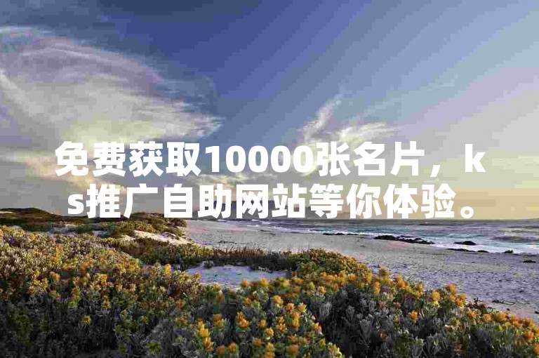免费获取10000张名片，ks推广自助网站等你体验。