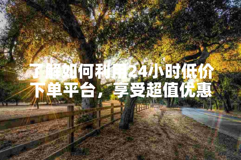 了解如何利用24小时低价下单平台，享受超值优惠？