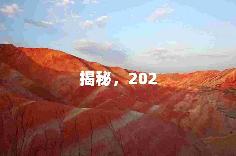 揭秘，2025年提升网页访问量的高效策略！