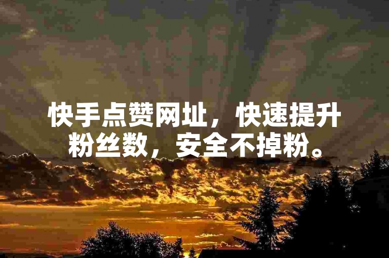 快手点赞网址，快速提升粉丝数，安全不掉粉。