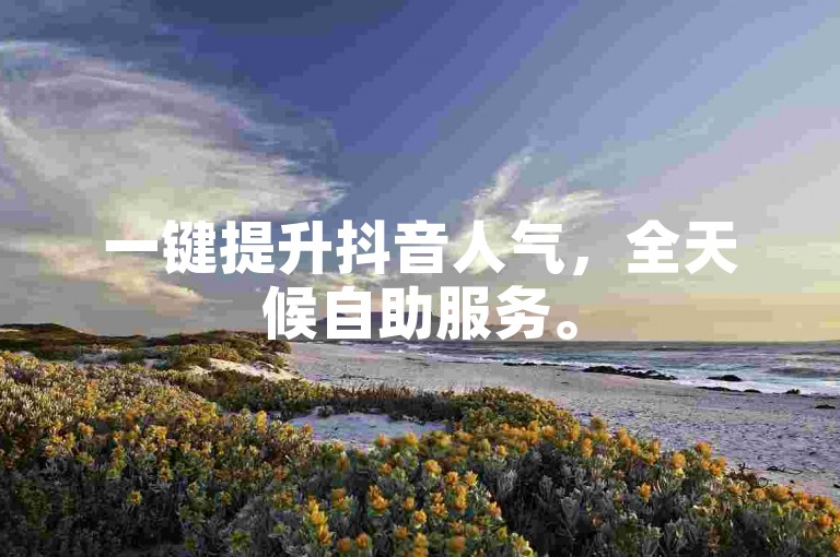 一键提升抖音人气，全天候自助服务。