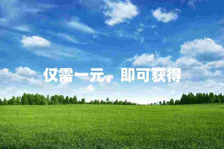 仅需一元，即可获得500个点赞。
