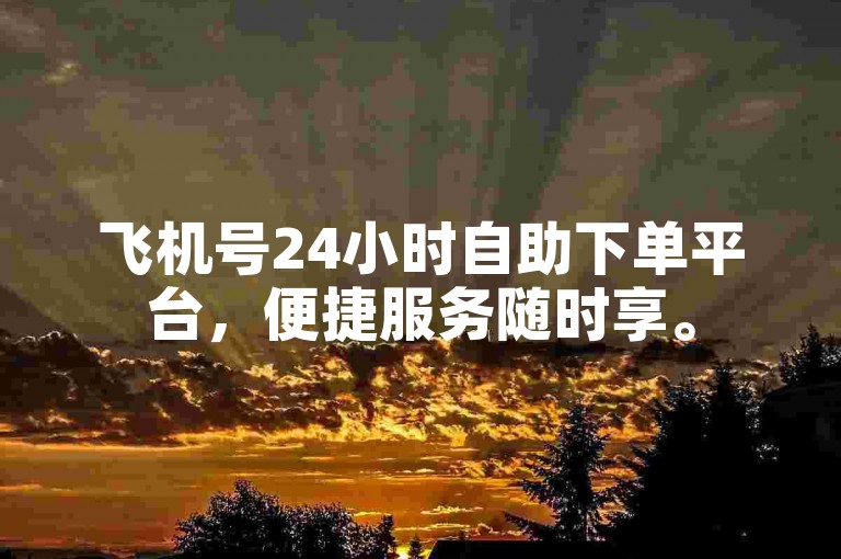 飞机号24小时自助下单平台，便捷服务随时享。