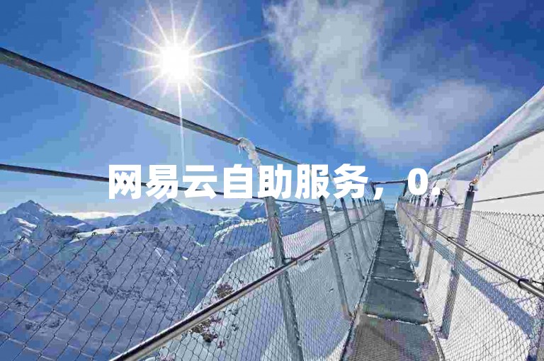网易云自助服务，0.5元获取1000赞，轻松下单。