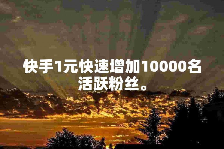 快手1元快速增加10000名活跃粉丝。