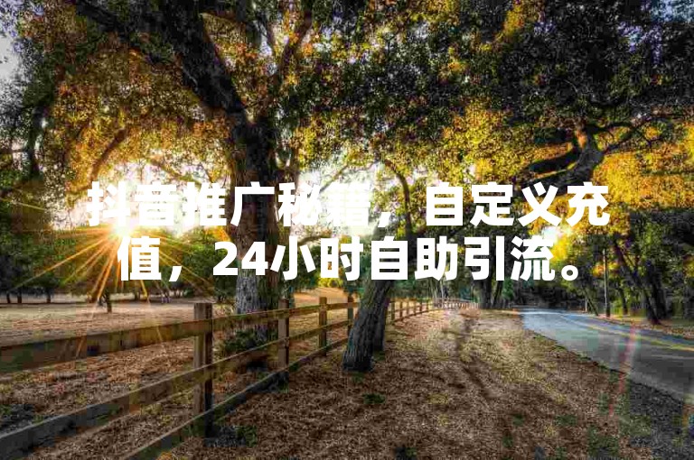 抖音推广秘籍，自定义充值，24小时自助引流。