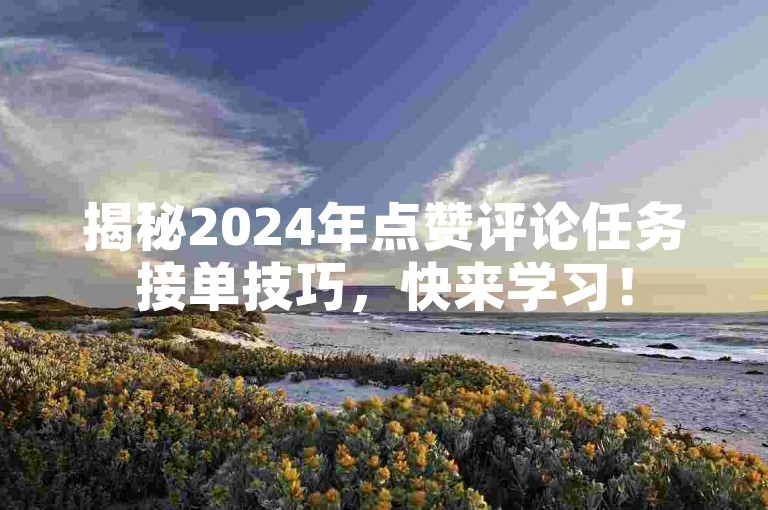 揭秘2024年点赞评论任务接单技巧，快来学习！