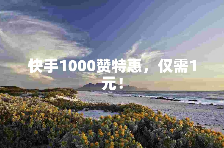 快手1000赞特惠，仅需1元！