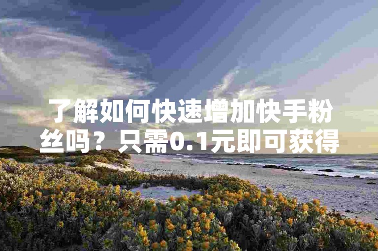 了解如何快速增加快手粉丝吗？只需0.1元即可获得1000访客，24小时随时提升曝光。