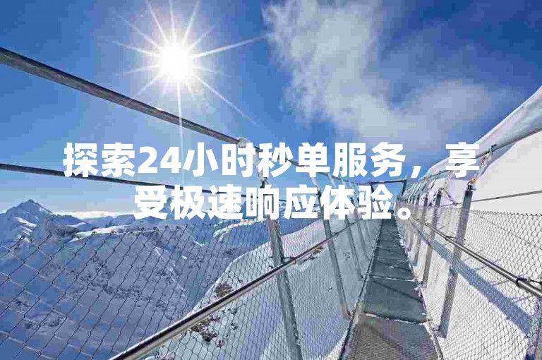 探索24小时秒单服务，享受极速响应体验。