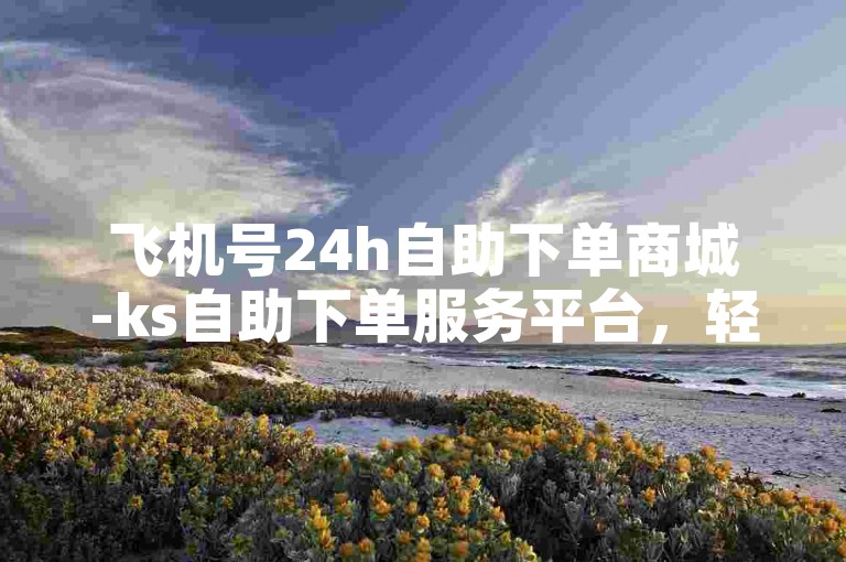 飞机号24h自助下单商城-ks自助下单服务平台，轻松购物无压力。