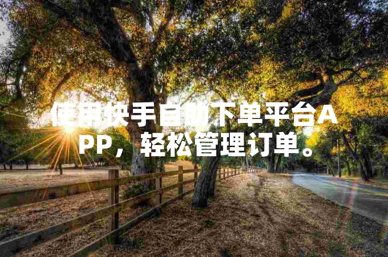 使用快手自助下单平台APP，轻松管理订单。