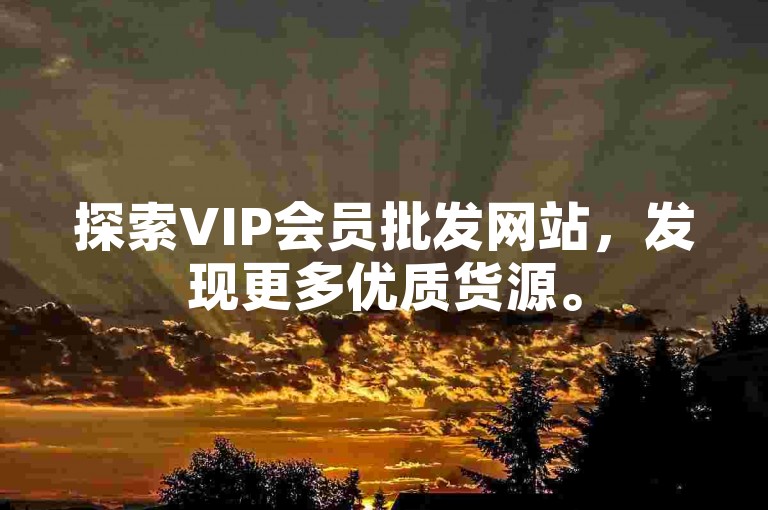 探索VIP会员批发网站，发现更多优质货源。