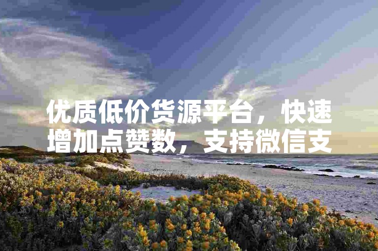 优质低价货源平台，快速增加点赞数，支持微信支付。