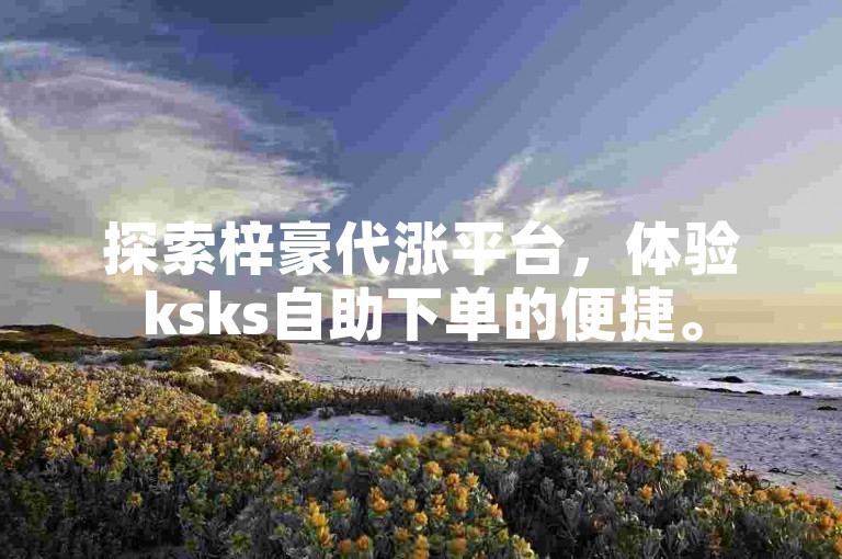 探索梓豪代涨平台，体验ksks自助下单的便捷。