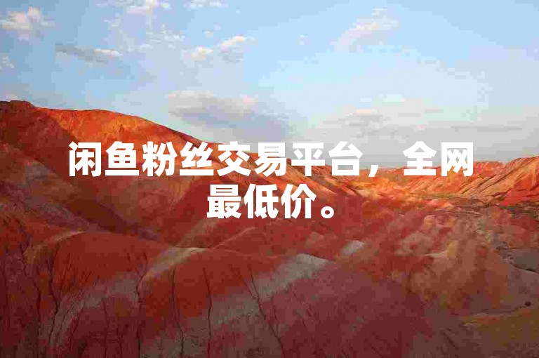 闲鱼粉丝交易平台，全网最低价。