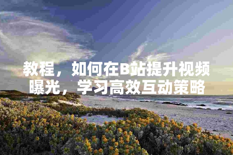 教程，如何在B站提升视频曝光，学习高效互动策略。