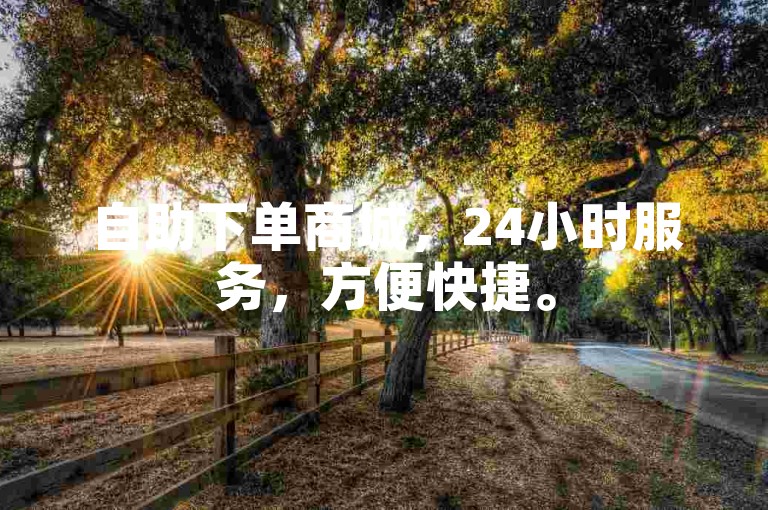 自助下单商城，24小时服务，方便快捷。