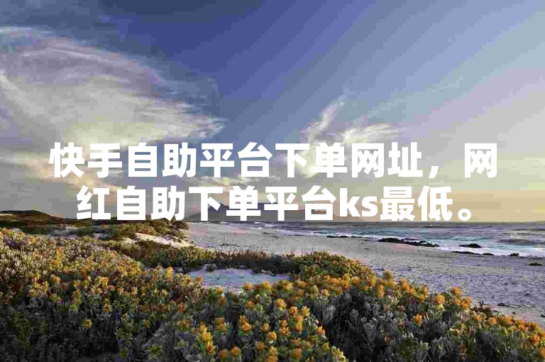快手自助平台下单网址，网红自助下单平台ks最低。