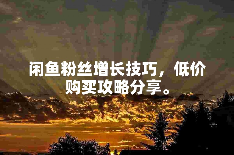 闲鱼粉丝增长技巧，低价购买攻略分享。