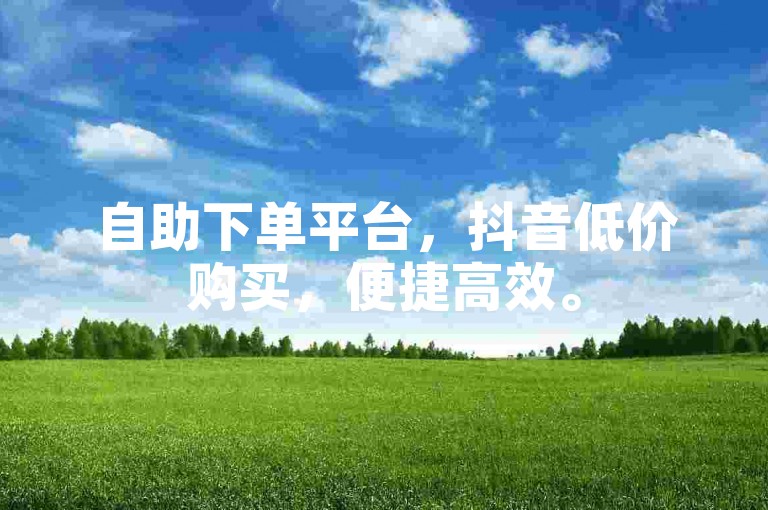 自助下单平台，抖音低价购买，便捷高效。