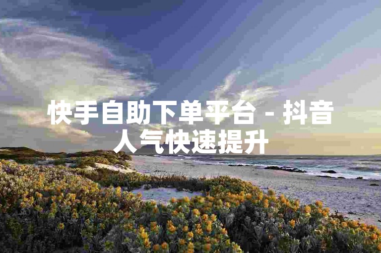 快手自助下单平台 - 抖音人气快速提升