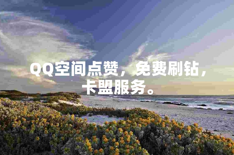 QQ空间点赞，免费刷钻，卡盟服务。
