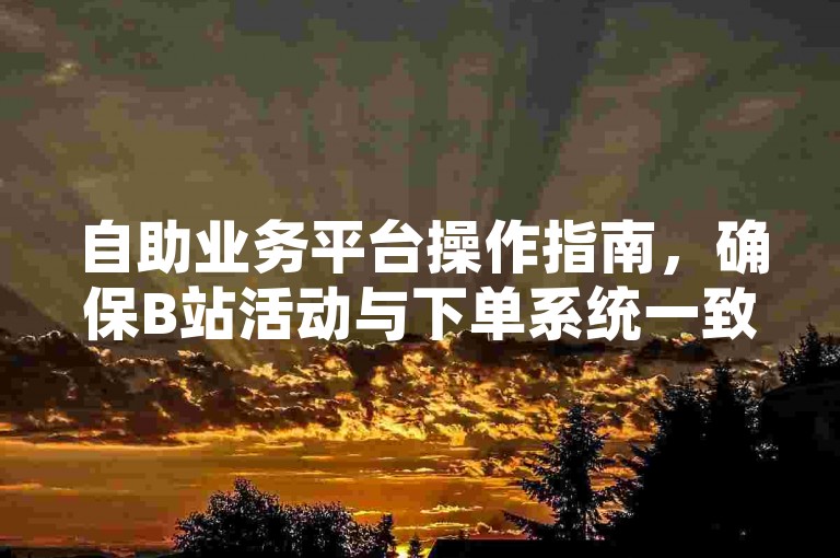 自助业务平台操作指南，确保B站活动与下单系统一致。